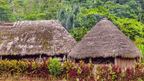 Amazon Immersion | 7-Day Homestay with Canoes, Cacao & Cascades