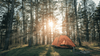 Geysers & Grizzlies | Yellowstone & Grand Teton — 6-Day Jackson Loop