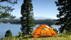Geysers & Grizzlies | Yellowstone & Grand Teton — 6-Day Jackson Loop