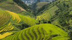 Icons of Vietnam | 12/15 Days of Old Towns, Epic Views & Street Eats