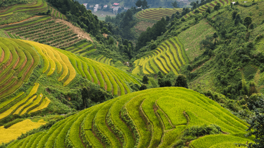 Icons of Vietnam | 12/15 Days of Old Towns, Epic Views & Street Eats