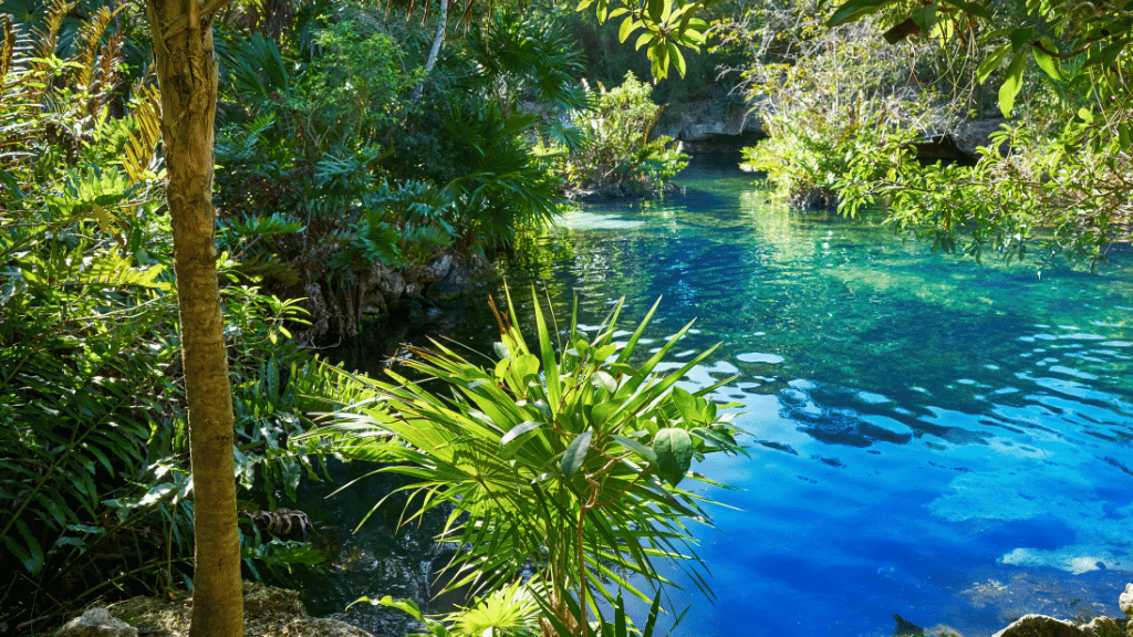 Maya Heartlands: 12 or 22 Days of Ruins, Rainforest & Reefs | Antigua → Playa del Carmen