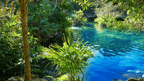 Maya Heartlands: 12 or 22 Days of Ruins, Rainforest & Reefs | Antigua → Playa del Carmen
