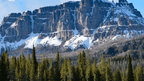 Geysers & Grizzlies | Yellowstone & Grand Teton — 6-Day Jackson Loop