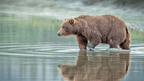 Ridge Walks, Ice Treks &amp; Kayaks | 14-Day Wild Alaskan Adventure