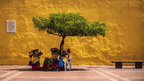 Costa Rica to Colombia: 27 Days of Coasts, Coffee & Culture | San José → Medellín