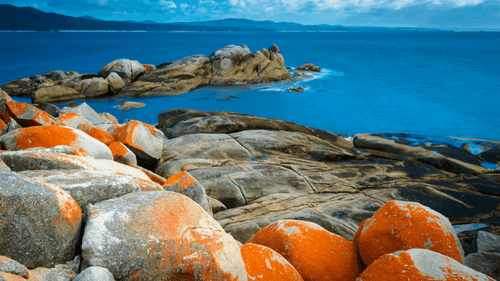 Rocks with orange lichen on a rocky shoreline with blue ocean and sky.
