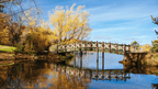 Daylesford & Goldfields Track 4-Day Walking Tour | Spa, Trails & Heritage Towns
