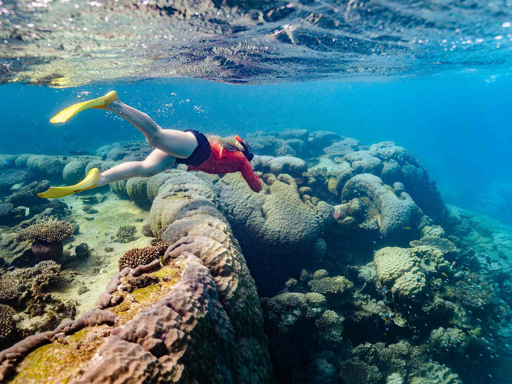 Snorkeler exploring coral reef on the Ningaloo Safari 3-Day Tour. A top destination for underwater adventures in Australia.
