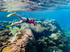 Snorkeler exploring coral reef on the Ningaloo Safari 3-Day Tour. A top destination for underwater adventures in Australia.