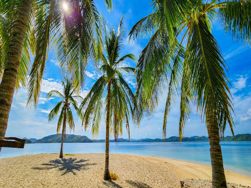 Icons of the Philippines | 10/14 or 23 Epic Days of Corals, Canopy’s &amp; Chocolate Covered Hills