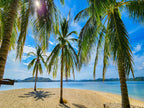 Icons of the Philippines | 10/14 or 23 Epic Days of Corals, Canopy’s &amp; Chocolate Covered Hills