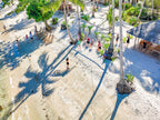 Icons of the Philippines | 10/14 or 23 Epic Days of Corals, Canopy’s &amp; Chocolate Covered Hills