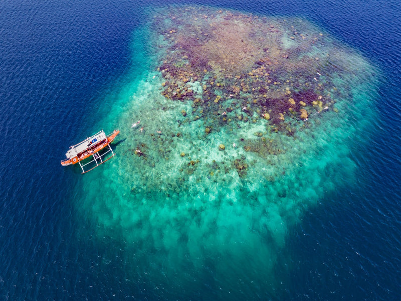 Icons of the Philippines | 10/14 or 23 Epic Days of Corals, Canopy’s &amp; Chocolate Covered Hills