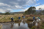 Group crossing a shallow stream in Namadgi National Park during Mt Bimberi & Blue Waterholes camping adventure.