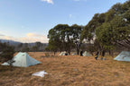 Tents set up in dry grassy field surrounded by trees during Mt Bimberi & Blue Waterholes multi-day camping tour.