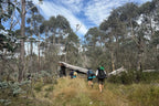 Hikers trekking through dense forest trail in Namadgi National Park on Mt Bimberi & Blue Waterholes outdoor tour.