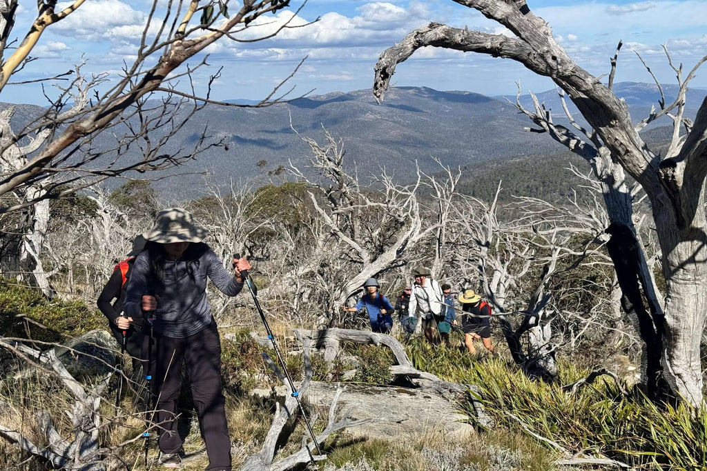 Group climbing rocky terrain with trekking poles on Mt Bimberi & Blue Waterholes wilderness adventure experience.
