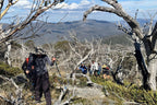 Group climbing rocky terrain with trekking poles on Mt Bimberi & Blue Waterholes wilderness adventure experience.