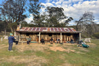 Group relaxing outside rustic hut in Namadgi National Park during Mt Bimberi & Blue Waterholes camping tour.