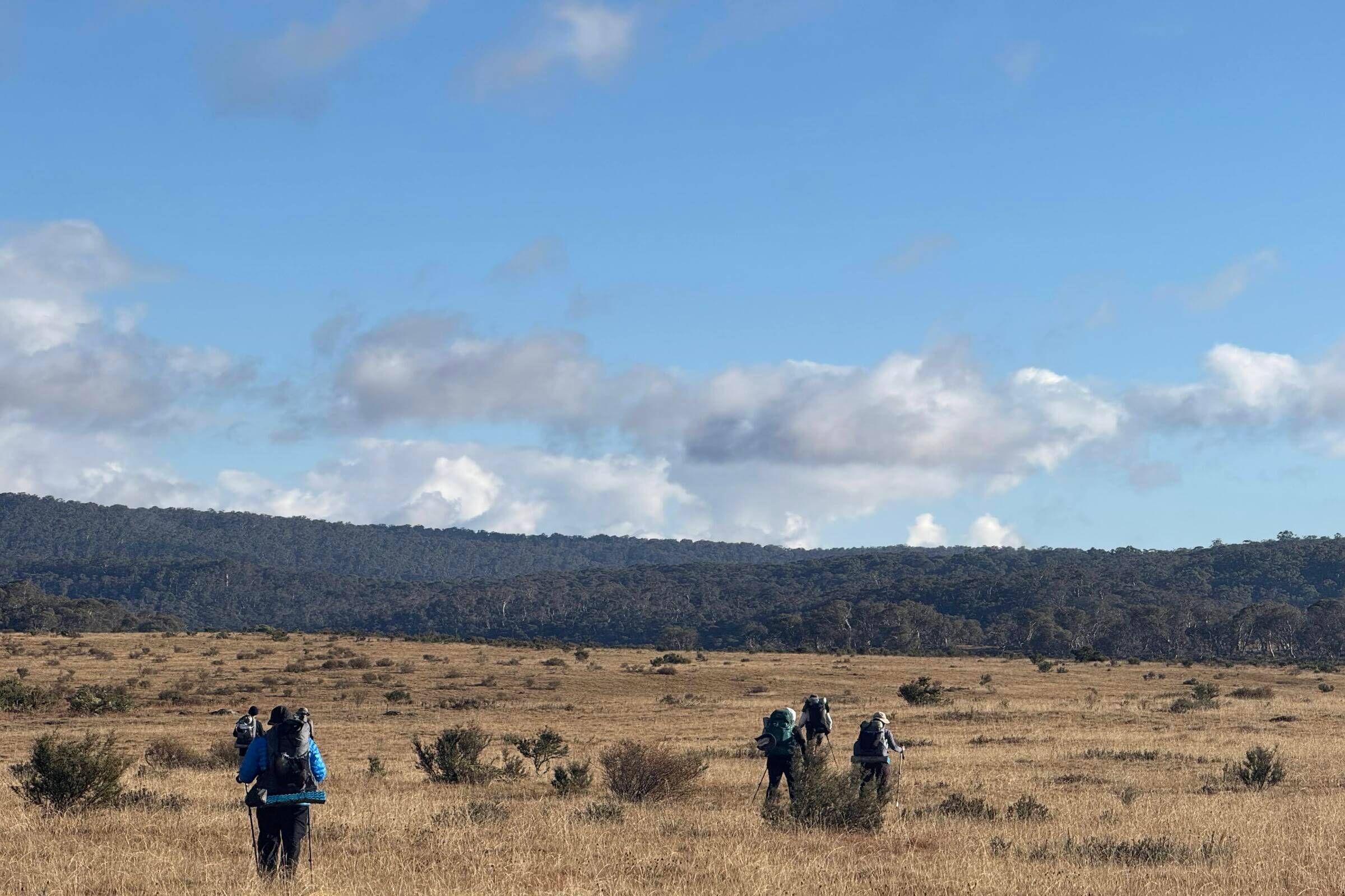 Group trekking across open grassland under blue sky on Mt Bimberi & Blue Waterholes guided hiking tour.