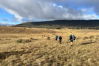 Hikers walking through golden grass plains toward forested hills on Mt Bimberi & Blue Waterholes adventure.