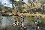 Hikers crossing river on stone path in forested area during Mt Bimberi & Blue Waterholes outdoor adventure.