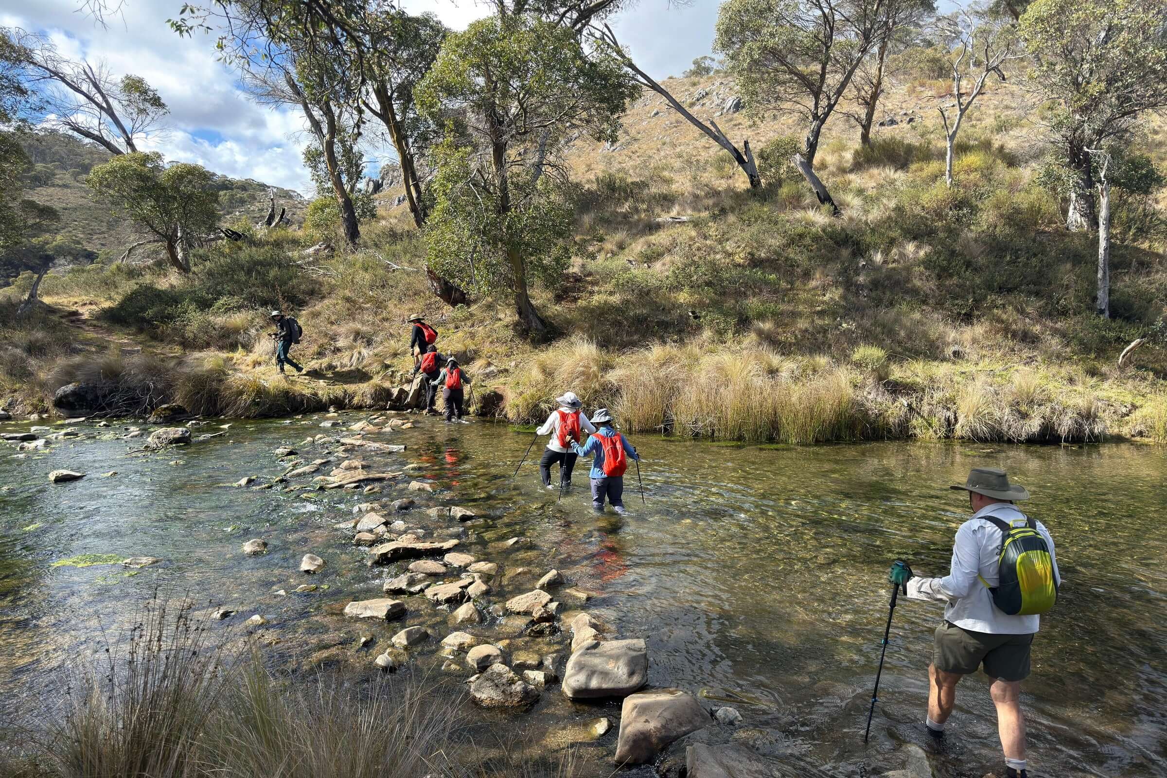 Hikers crossing river on stone path in forested area during Mt Bimberi & Blue Waterholes outdoor adventure.