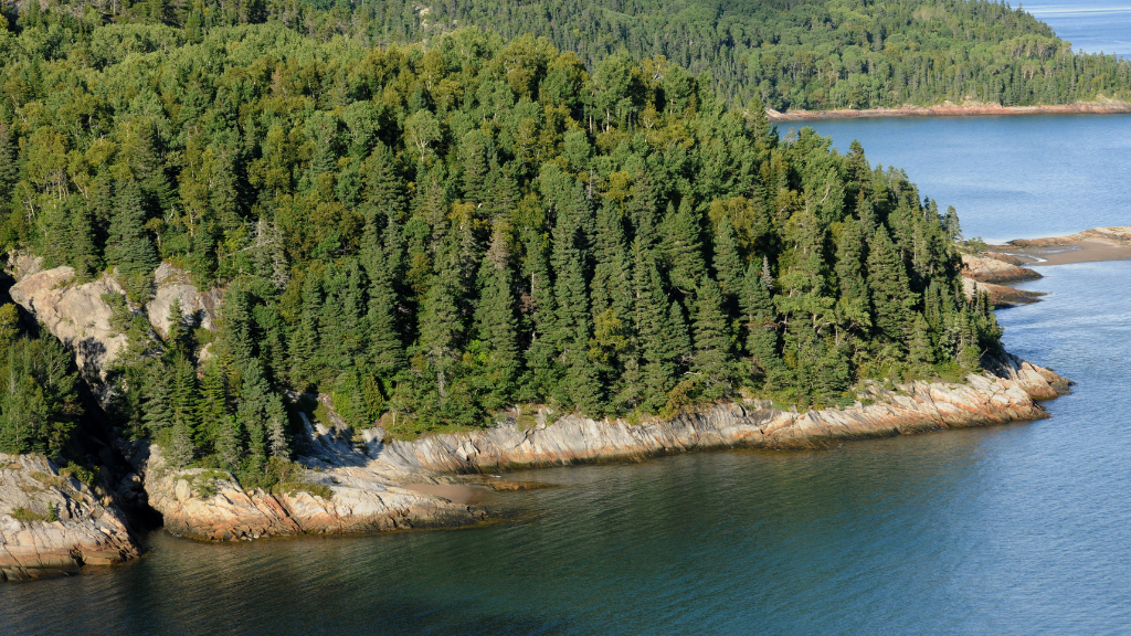 Northern Québec (Summer or Winter) Escape | 7 Days of Fjord Views, Forest Trails & Lodge Comfort