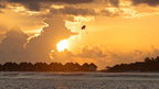 Reefs, Sharks & Sandbanks | 7-Day Maldives Snorkel & Island Escape