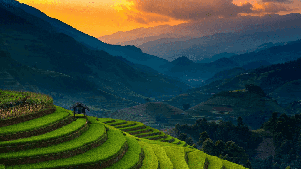 Icons of Vietnam | 12/15 Days of Old Towns, Epic Views & Street Eats