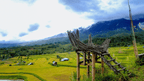 Scenic rice fields and traditional bamboo lookout in Tana Toraja, featured in the Soul of Sulawesi - Tana Toraja Culture Tour.