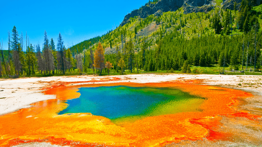 Geysers & Grizzlies | Yellowstone & Grand Teton — 6-Day Jackson Loop