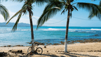 Rainforest Paths to Marine Gardens | 9-Days from Belize City → Caye Caulker