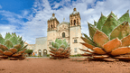 Colonial Streets to Coral Seas | 14 or 22-Day Mexican Mayan Adventure
