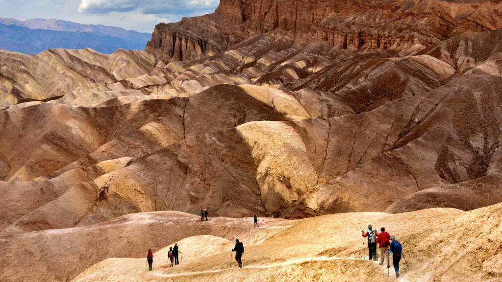 Icons of Western USA | 10–18 Days of Coast, Canyons & Giant Trees