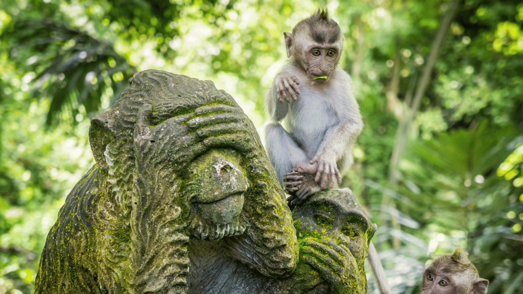 Young monkey sitting on a stone statue in lush jungle, highlighting wildlife on the Soul of Sulawesi - Tana Toraja Culture Tour.