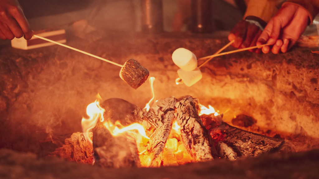 Northern Québec (Summer or Winter) Escape | 7 Days of Fjord Views, Forest Trails & Lodge Comfort