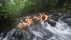 Costa Rica Pura Vida: Volcanoes, Cloud Forests & Wild Coasts | San José → San José (9/16 Days)