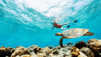Rainforest Paths to Marine Gardens | 9-Days from Belize City → Caye Caulker