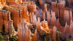 Icons of Western USA | 10–18 Days of Coast, Canyons & Giant Trees