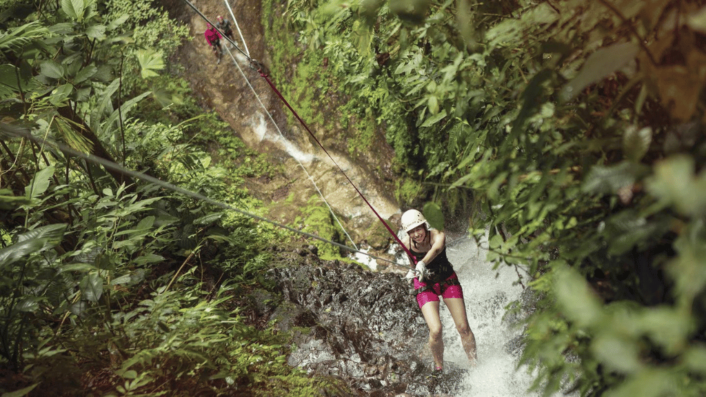 Costa Rica Pura Vida: Volcanoes, Cloud Forests & Wild Coasts | San José → San José (9/16 Days)