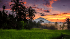 Sunset over rice fields with volcano backdrop in Sulawesi, capturing the natural beauty of the Soul of Sulawesi - Tana Toraja Culture Tour.