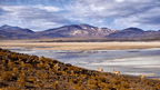 South America Unfiltered | Andes, Atacama & Salt Flats to the City Lights