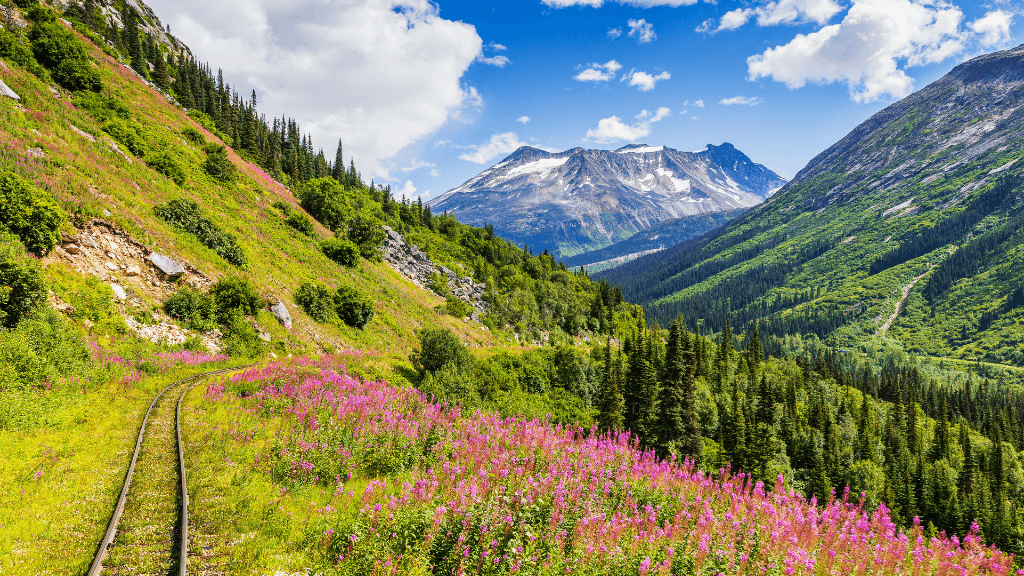 Ridge Walks, Ice Treks &amp; Kayaks | 14-Day Wild Alaskan Adventure
