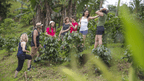 Costa Rica Pura Vida: Volcanoes, Cloud Forests & Wild Coasts | San José → San José (9/16 Days)
