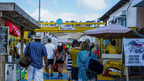 Rainforest Paths to Marine Gardens | 9-Days from Belize City → Caye Caulker