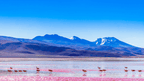 South America Unfiltered | Andes, Atacama & Salt Flats to the City Lights