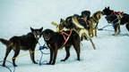 Ridge Walks, Ice Treks &amp; Kayaks | 14-Day Wild Alaskan Adventure