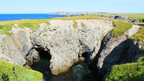 Coasts, Cliffs & Culture of Newfoundland | 8 or 18 Days on Canada’s Atlantic Edge